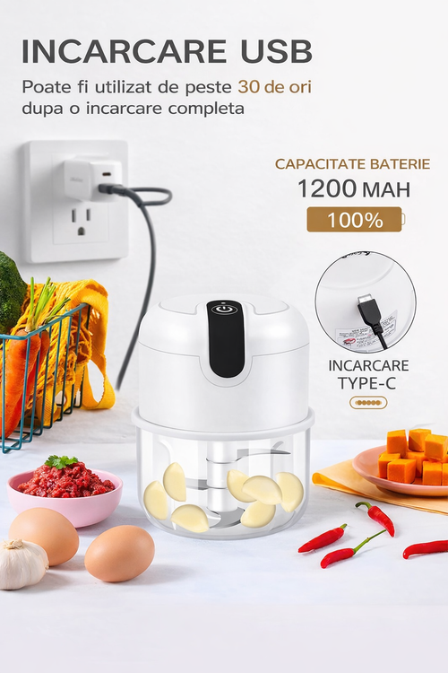 Mini Tocător Electric